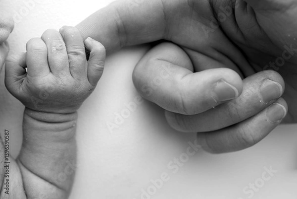 Fototapeta Close-up little hand of child and palm of mother and father. The newborn baby has a firm grip on the parent's finger after birth. A newborn holds on to mom's, dad's finger. Black and white photo.
