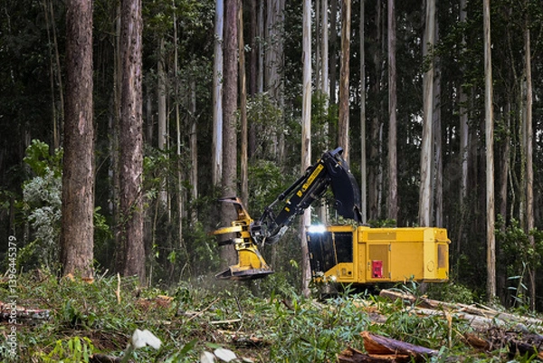 Fototapeta Forestry Machine Logging Equipment Timber Harvesting