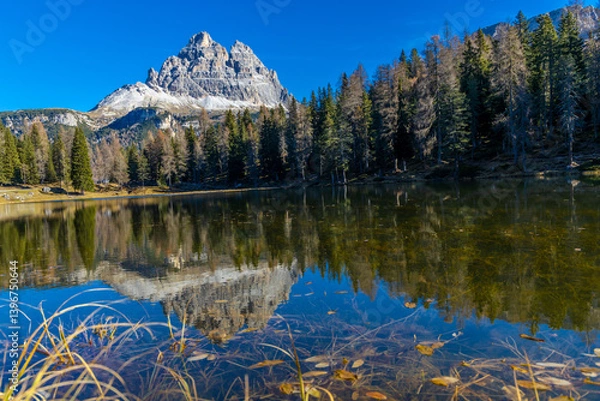 Fototapeta Chamonix Montblanc beautiful alpine mountain summits landscape. Alps mountains with snow and glacier above green valley of Chamonix in France. Alps beautiful scenery in summer