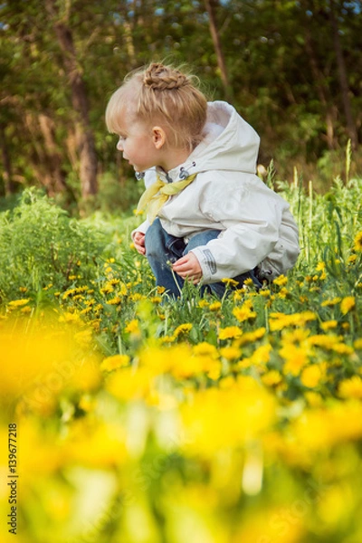 Fototapeta little girl on the dandelions meadow in spring day
