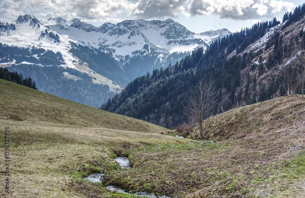 Obraz alpine meadow in the alps