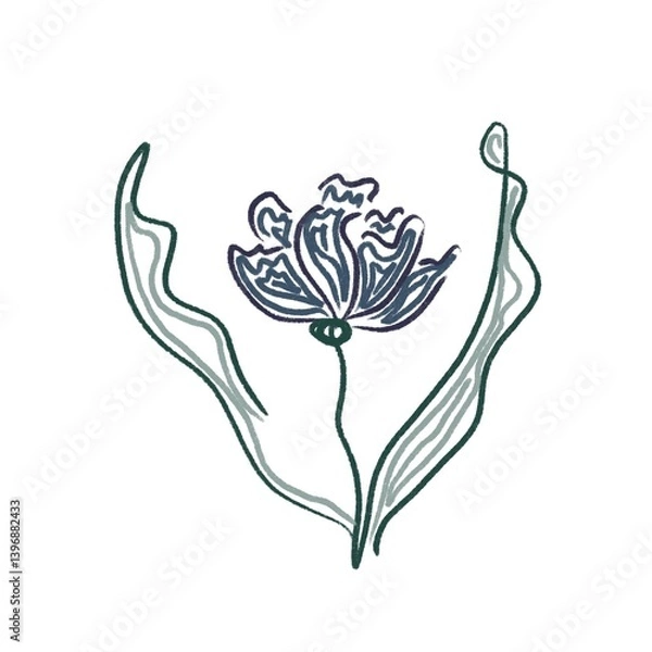 Fototapeta One of the greatest tulips of istanbul. Beautiful blue tulip isolated on white background. Artwork design element. Cartoon design for poster, icon, card, logo, label.