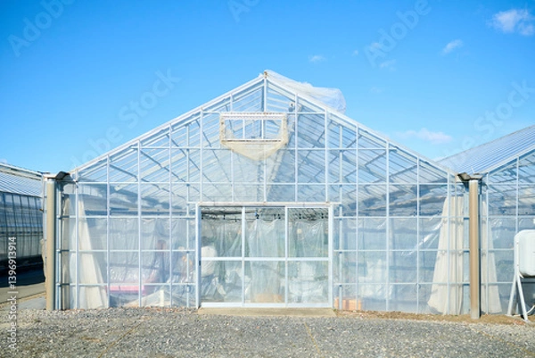 Fototapeta 郊外に立つ農園のビニールハウス