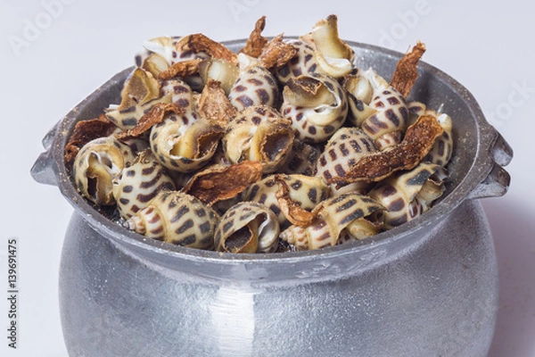 Obraz Steamed snails