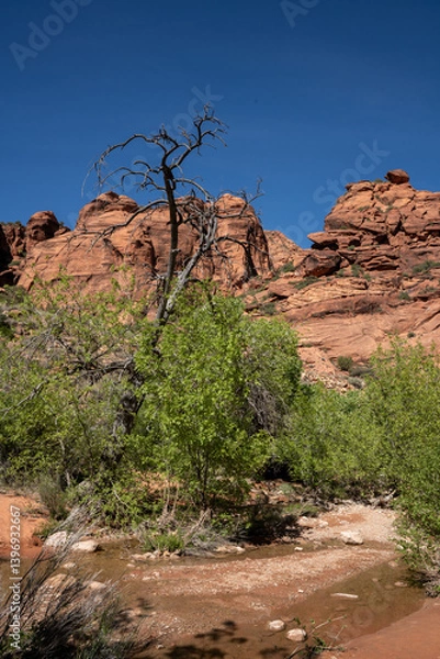Obraz View of red rocks in Red Cliff National Conservation Area, Utah, USA.	