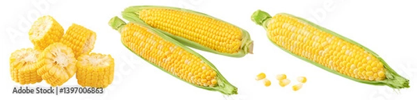 Fototapeta Fresh corn on cob isolated on white background. clipping path