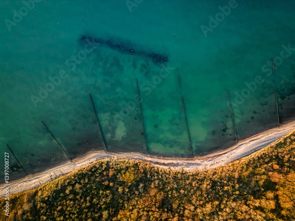 Fototapeta A breathtaking top-down shot capturing the natural patterns of a rugged shoreline, clear waters, and autumn foliage. A perfect harmony of textures and colors of Rugen Island, northern Germany.