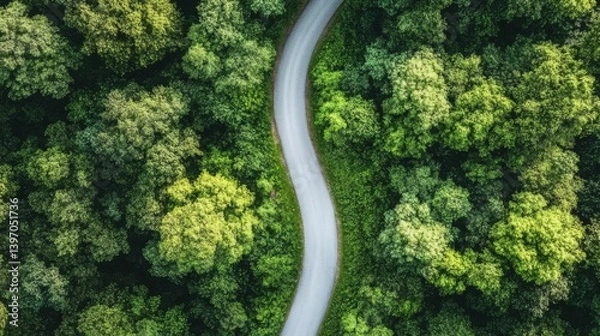 Fototapeta An overhead view shows a winding road and a racetrack in a simple, flat drawing