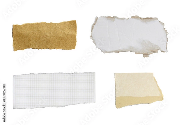 Obraz Torn piece of paper on transparent background png file