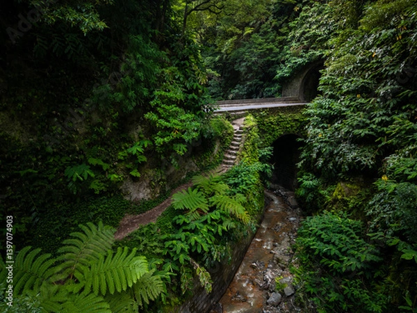 Fototapeta Path leading through the lush green rainforest towards the road and a tunnel. Wet atmosphere of Sao Miguel Island, Azores, Portugal.