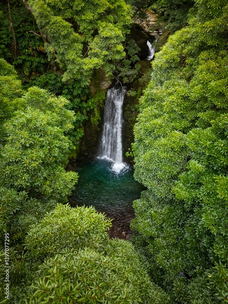 Fototapeta Aerial view of the Salto do Prego waterfall, Sao Miguel, Azores Islands, Portugal. View through the lush green forest.