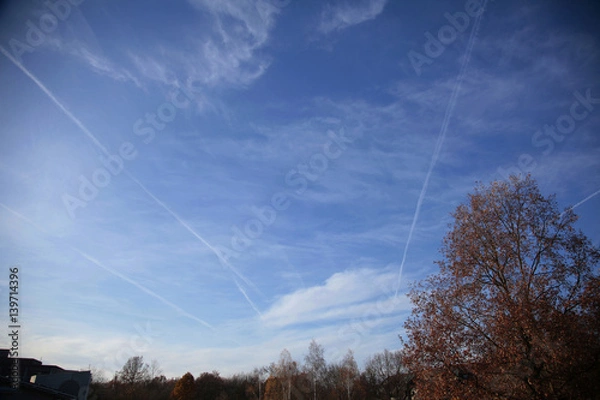 Obraz バイロイト