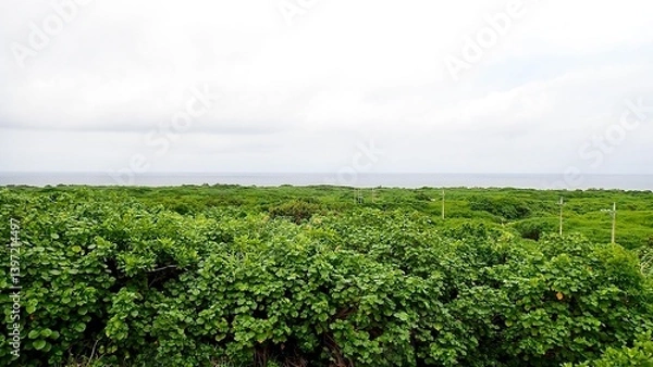 Obraz 沖縄県八重山諸島鳩間島にある物見台から見える風景