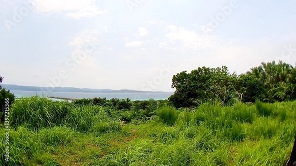 Obraz 沖縄県八重山諸島鳩間島にある物見台から見える風景