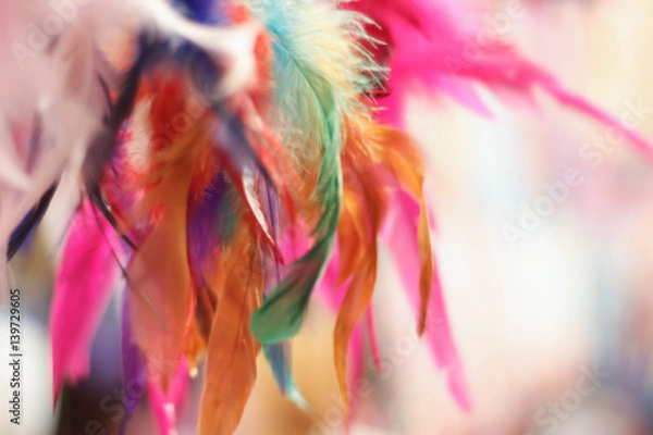 Obraz Beautiful  dream Catcher