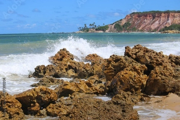 Obraz 
Sea waters crashing over reef rocks, sunny day, summer vacation at Tabatinga beach, Joao Pessoa, tropical beach in northeastern Brazil. Cliffs at horizon line with vegetation