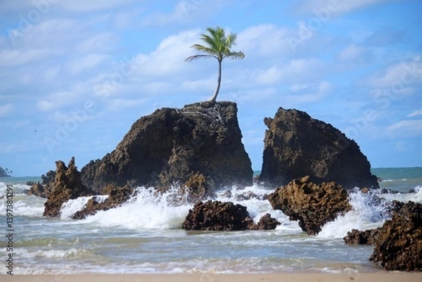 Obraz 
Tambaba beach near Joao Pessoa and the iconic coconut tree on a large rock in the water. Tourist spot for summer holidays.