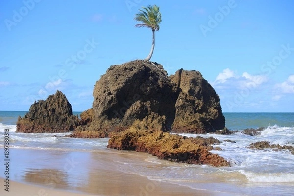 Obraz 
Wide view of Tambaba beach near Joao Pessoa and the iconic coconut tree on a large rock in the water. Tourist spot for summer holidays
