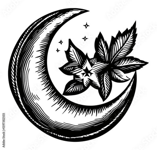Fototapeta Moon and Leaf Design with Stars in Vintage Woodcut Style