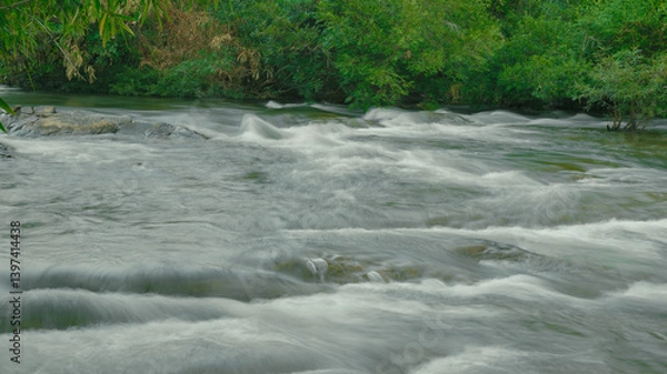 Obraz river in the woods