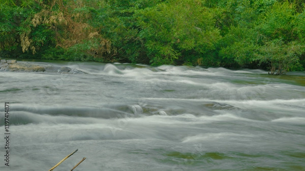 Fototapeta river in the forest