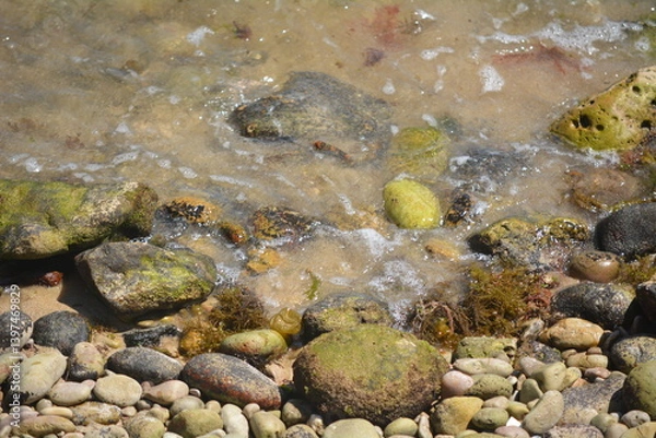 Fototapeta Rocky shoreline with clear water and pebbles under sunlight during low tide