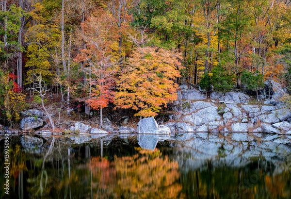 Obraz C&O Canal Fall Scene 1