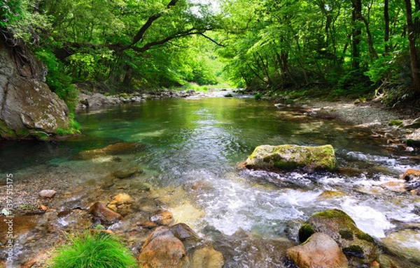 Fototapeta 栃木県那須塩原市　木の俣園地を流れる木の俣川