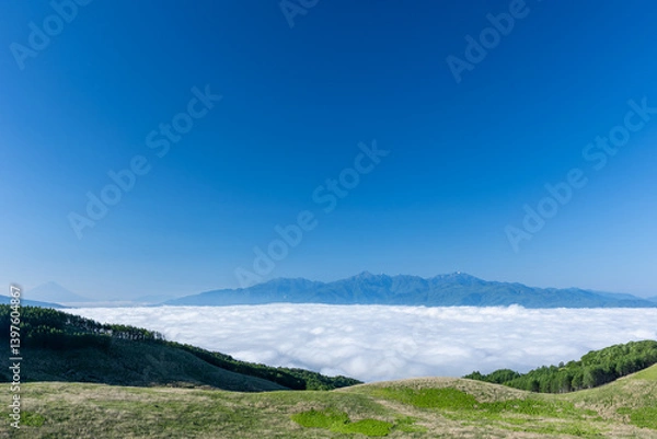 Fototapeta 快晴の青空と雲海に浮かぶ南アルプスの山並み3