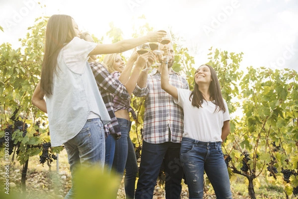 Obraz group of people tasting red wine i a vineyard