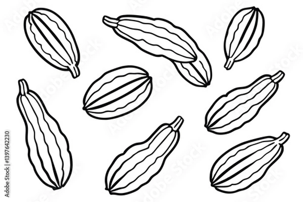 Fototapeta Zucchini Leaf Set for Organic Themes
