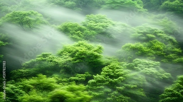 Obraz Lush green forest shrouded in misty ambiance.