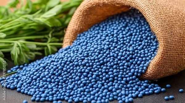 Obraz A bag of blue coated agricultural seeds spilling onto a dark surface.