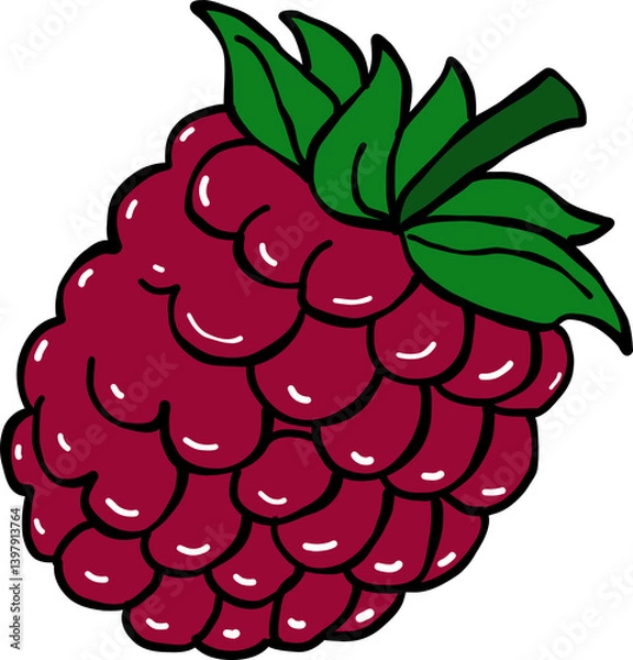 Obraz raspberry hand drawn cartoon style drawing,