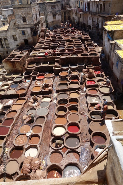 Obraz Fez leather tannery