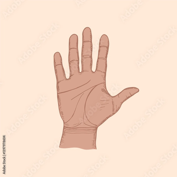 Obraz Open palm of hand sketch drawing illustration. Hand drawn vector line art clipart in engraving style, diversity, greeting, support, protect concept