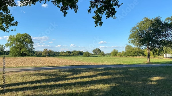 Fototapeta Large field with a road in the middle and trees on the sides
