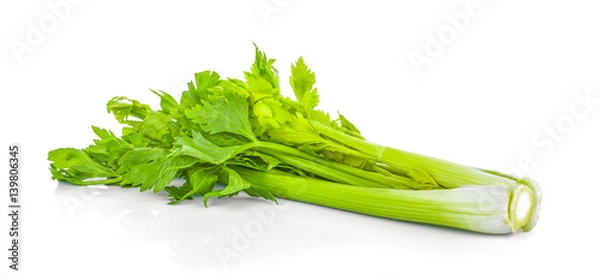 Obraz Celery isolated on white background