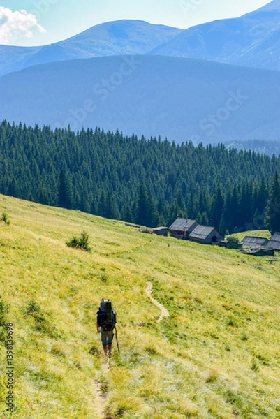 Fototapeta Wooden huts in a sunny mountain valley with a dense spruce forest and a traveler walking along a path on a grassy slope.