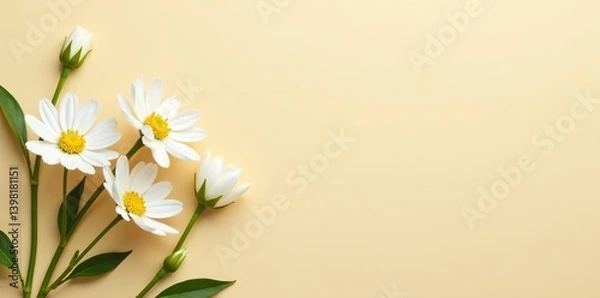 Fototapeta White flowers on beige background arranged in flat lay with copy space, soft natural light, warm atmosphere,  tranquil,  minimalistic
