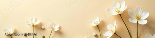 Fototapeta White flowers on beige background with copy space, soft light, warm atmosphere,  light,  zen