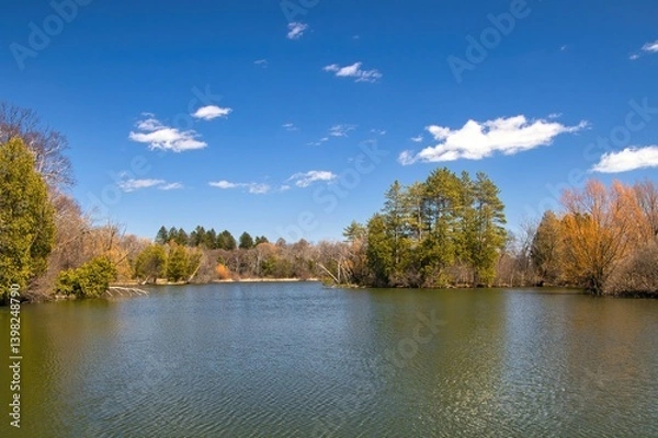Obraz Early Spring landscape of a peaceful park lagoon beneath a blue sky and puffy white clouds in a Southeast Wisconsin, near New Berlin, Wisconsin