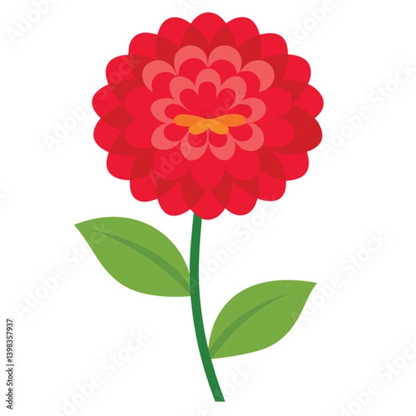 Obraz Zinnia flower vector isolated on white background
