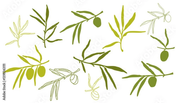Fototapeta simple drawn mediterranean olive branches, hand drawn olive branches, simple linear branches set for yours design