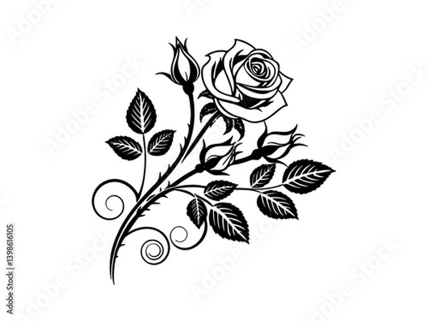 Obraz Set of decorative rose with leaves. Flower silhoutte. Vector illustration. Set of three vector black silhouettes of rose flowers isolated on a white background.