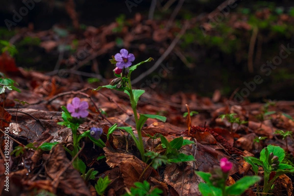 Obraz Wildflowers Blooming by a Mountain Stream