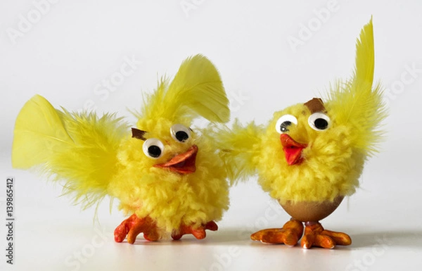 Obraz Pair of chicks