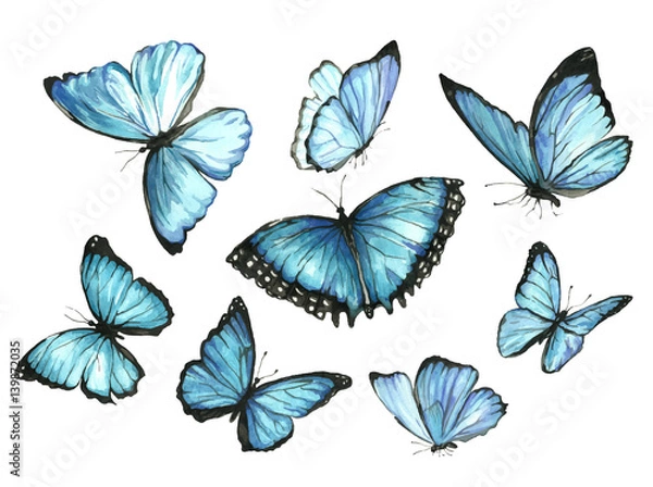 Obraz Niebieskie Motyle. Zestaw. Akwarela ilustracja