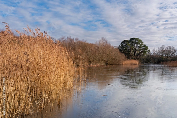 Obraz The ornamental lake on southampton common on an icy day