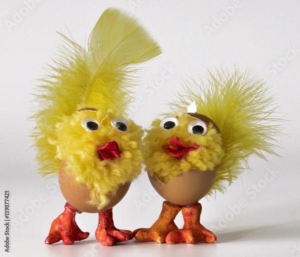 Obraz Pair of chicks